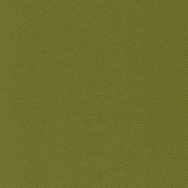 Sierra Leather Guacamole