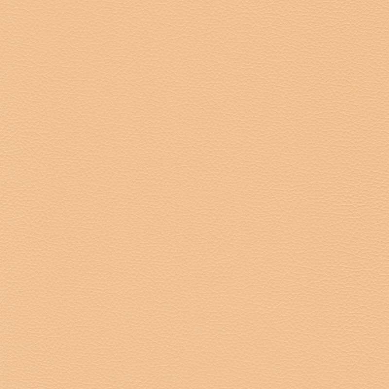 Sierra Leather Blush