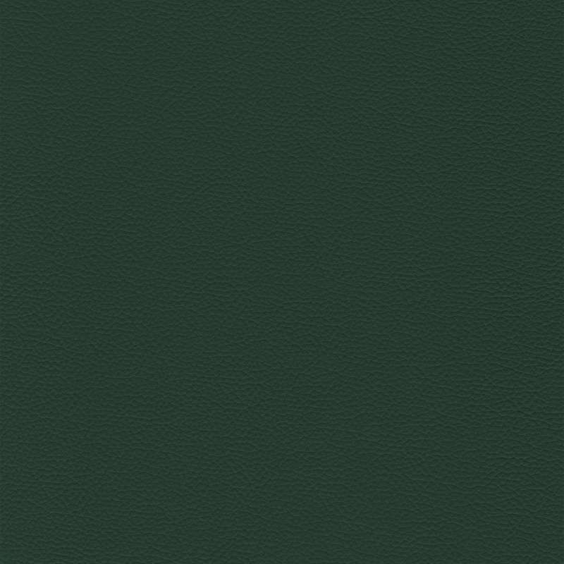 Sierra Leather Forest