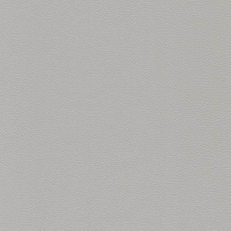 Sierra Leather Mist