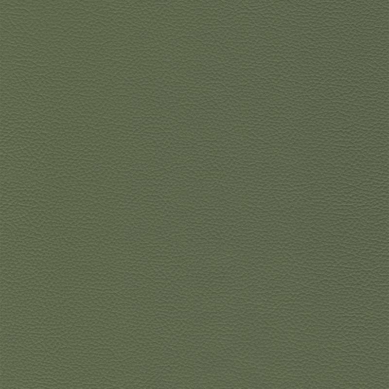 Sierra Leather Wintergreen