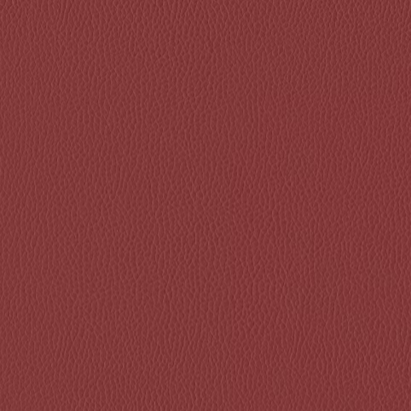 Silica Leather Shiraz