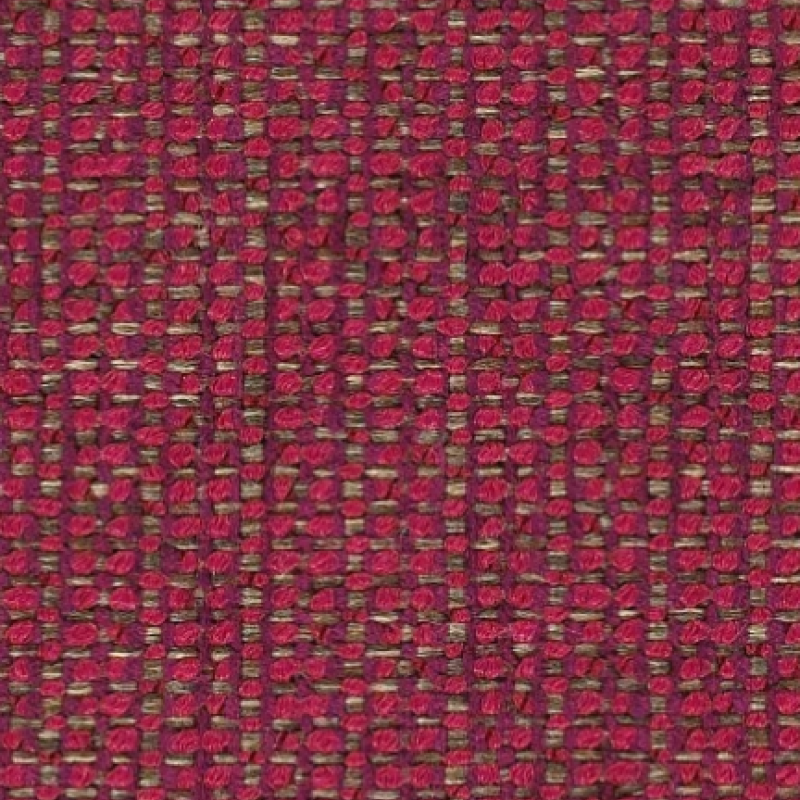 Spindle Mulberry