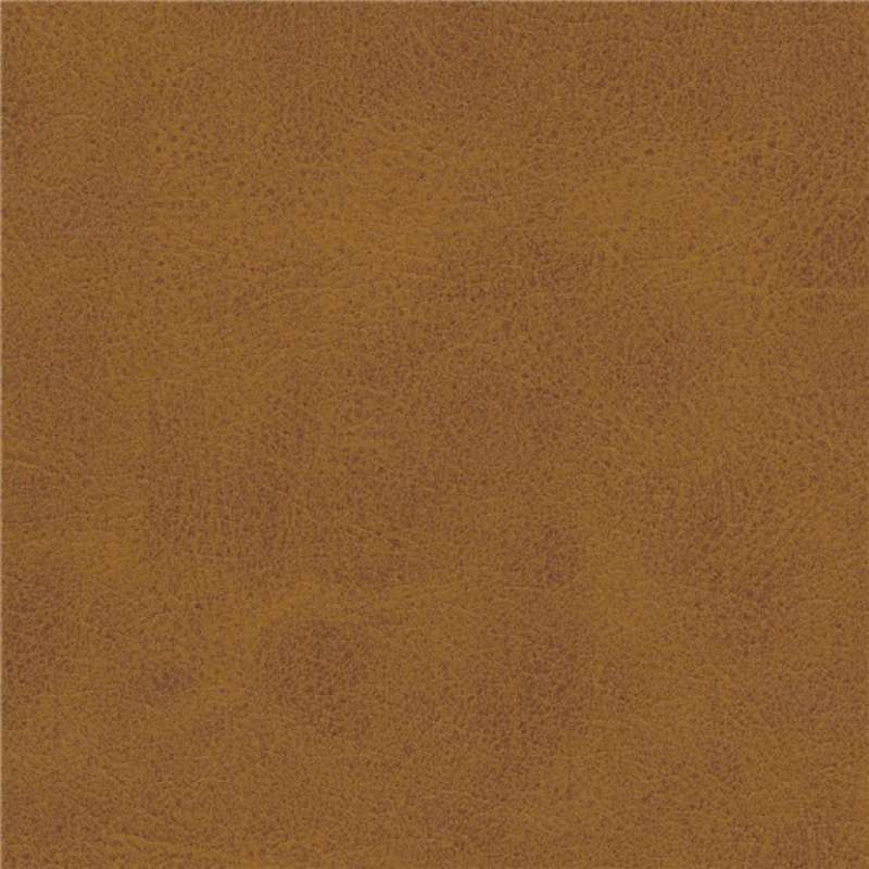 Steed Amaretto