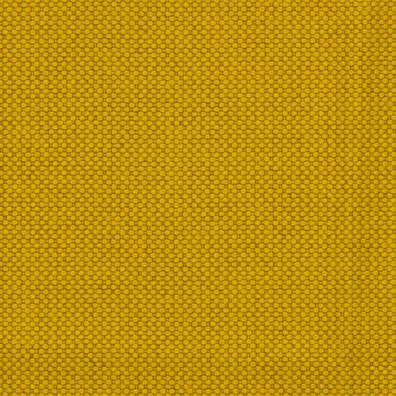 Merit Sunflower