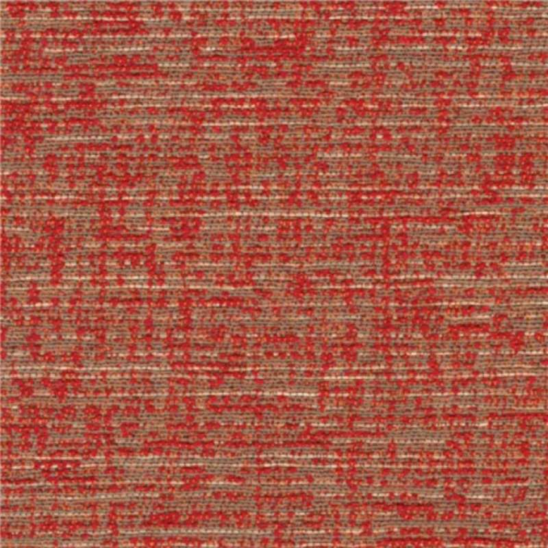Surface Tomato