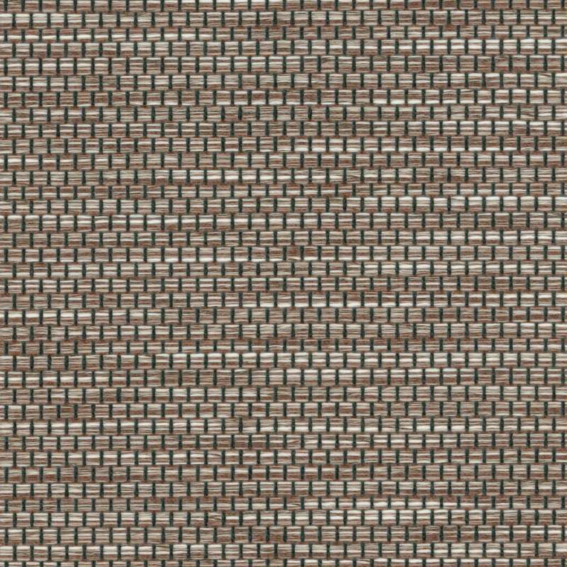 Relativity Mocha