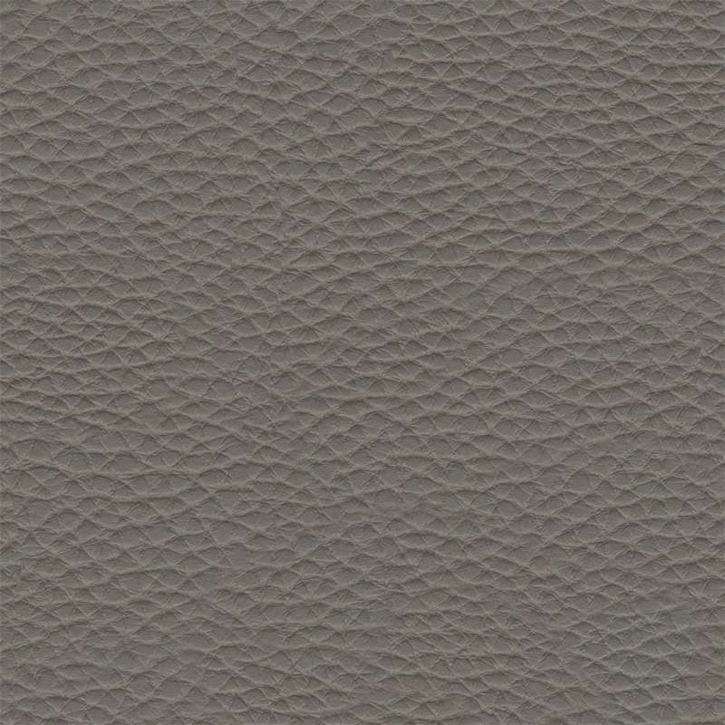 Thoroughbred Carbon