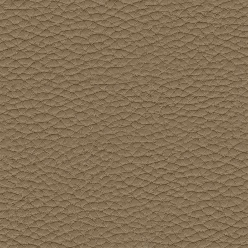 Thoroughbred Clay