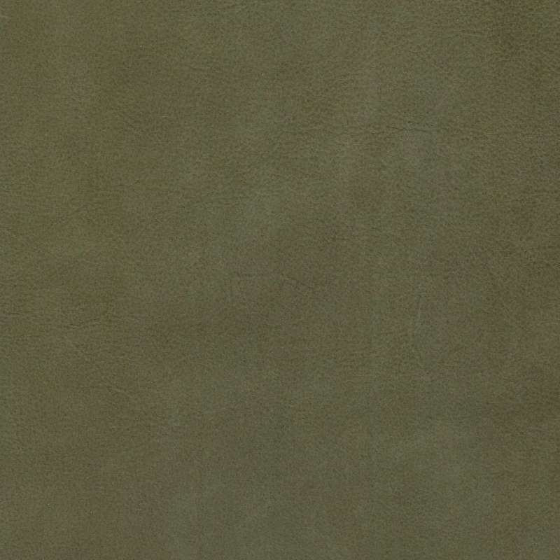 Green Hides Touche Leather Verdone