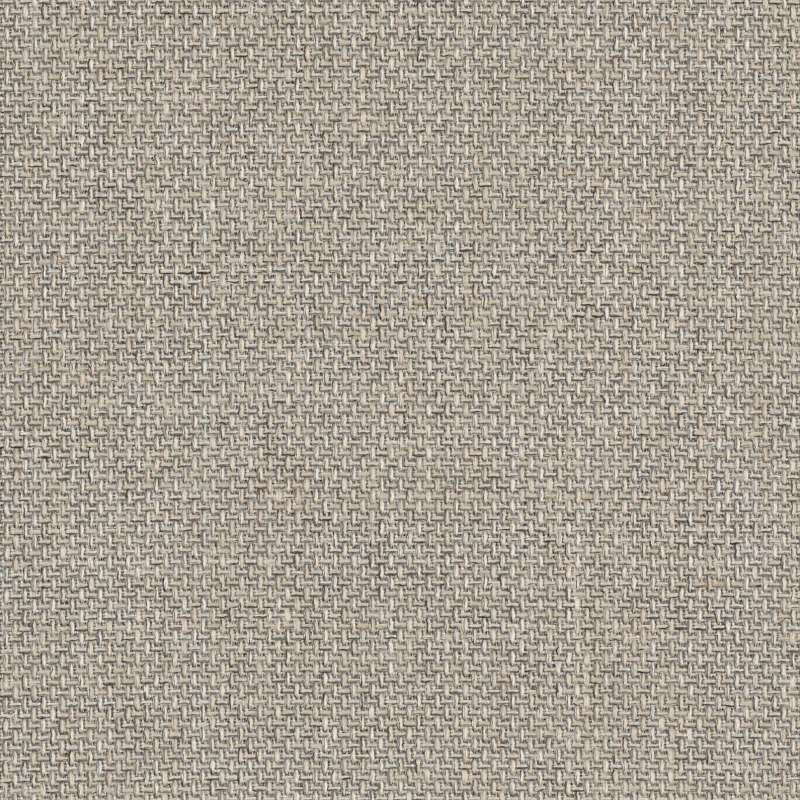 Tribeca Dove