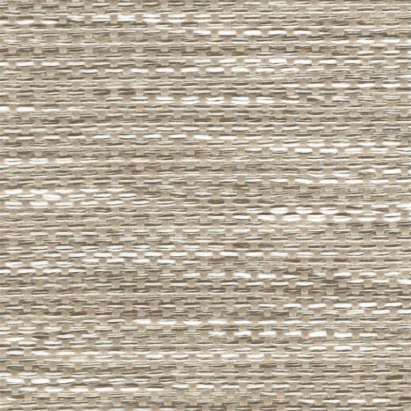 Triumph Bamboo