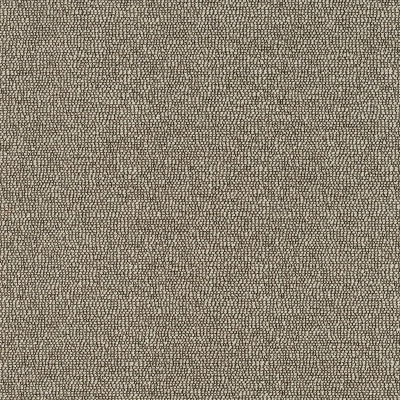 Flora Magnolia