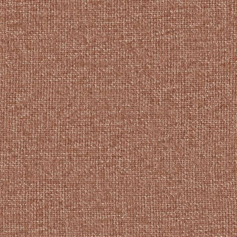 Cozy Texture Rose