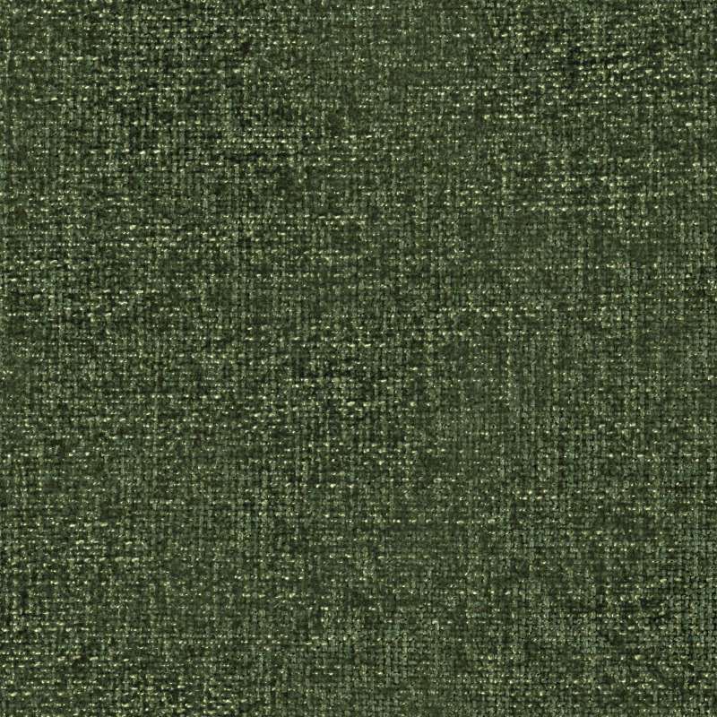 Cozy Texture Monstera