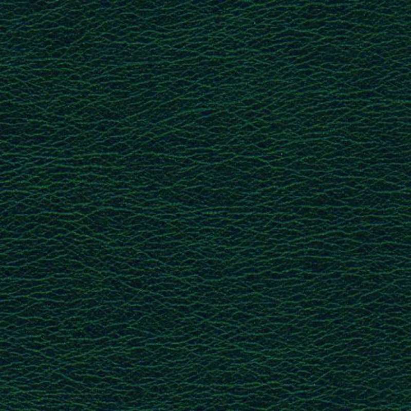Pearlized Oz