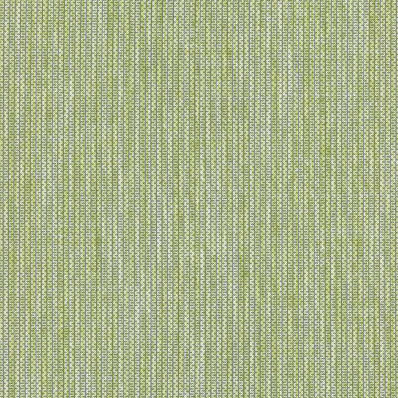 Unwind Fern