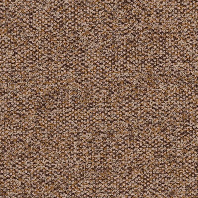 Editor Sandstone