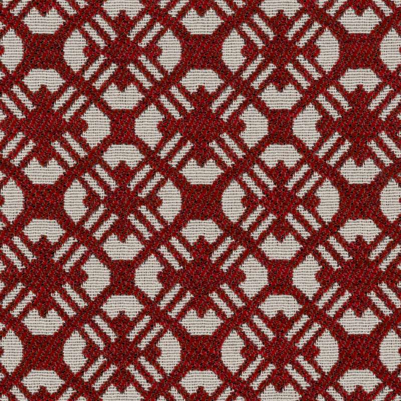 Webster Cranberry