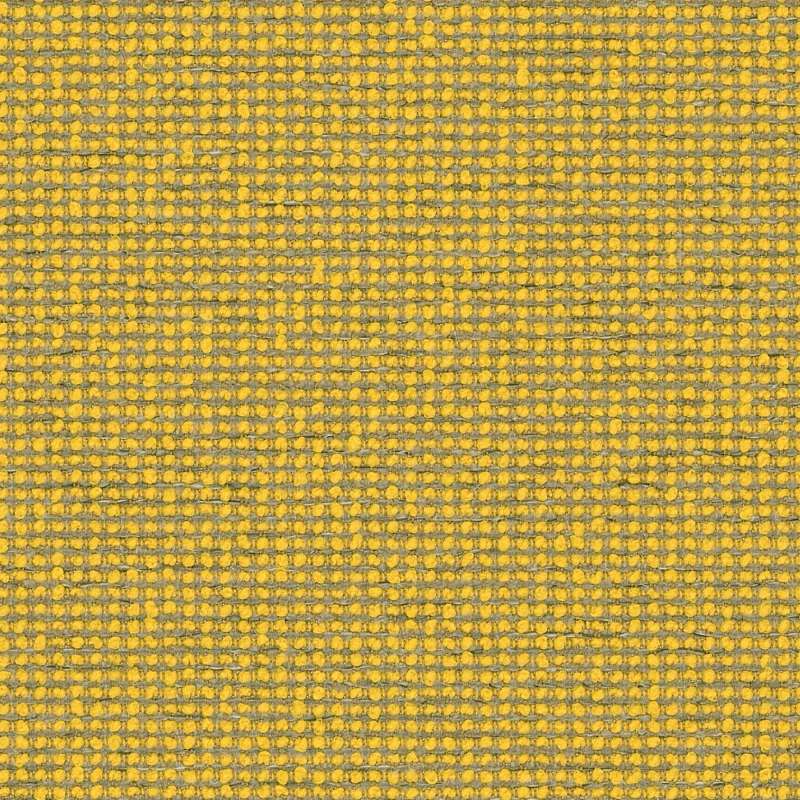 Form Canary