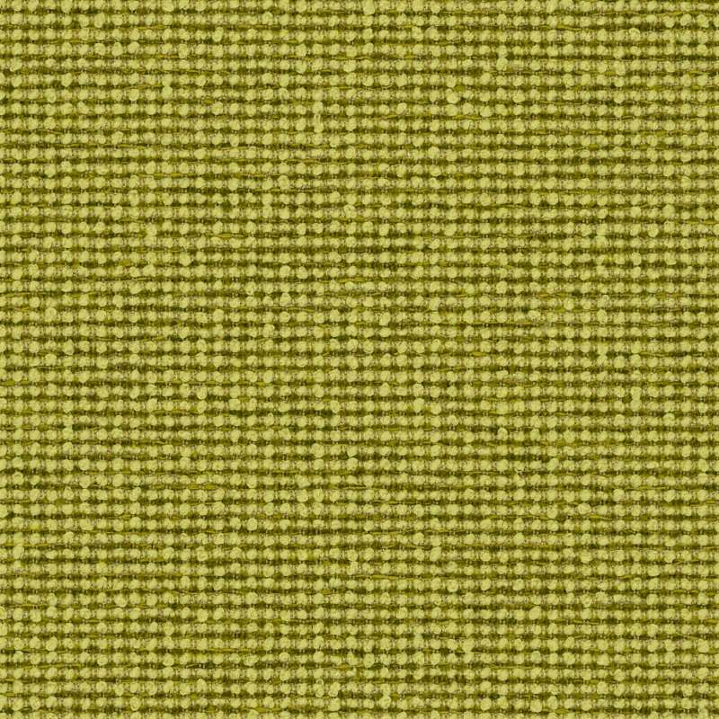 Form Kiwi