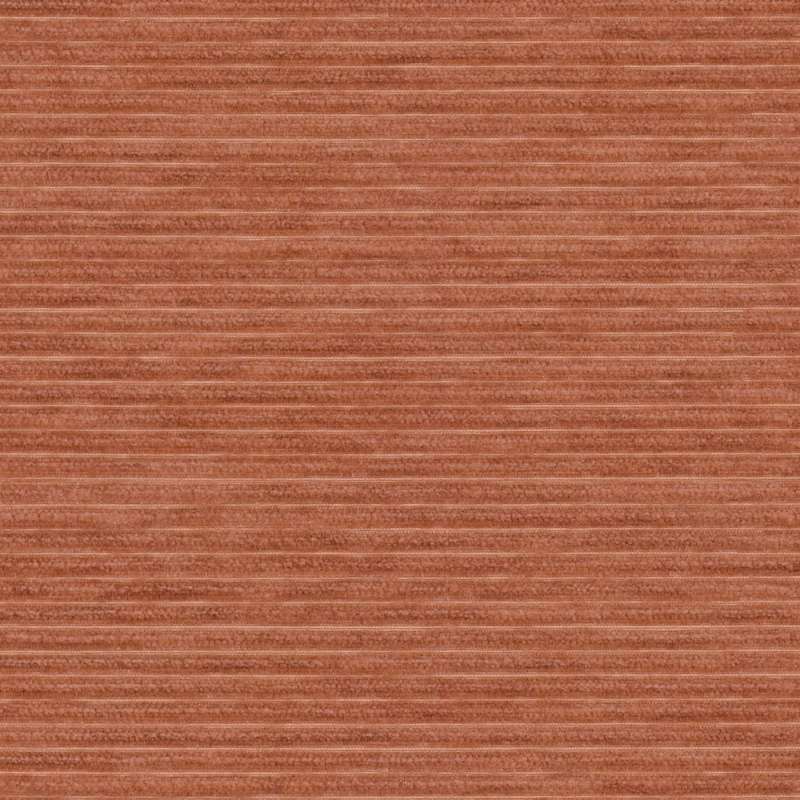 Channel Coral