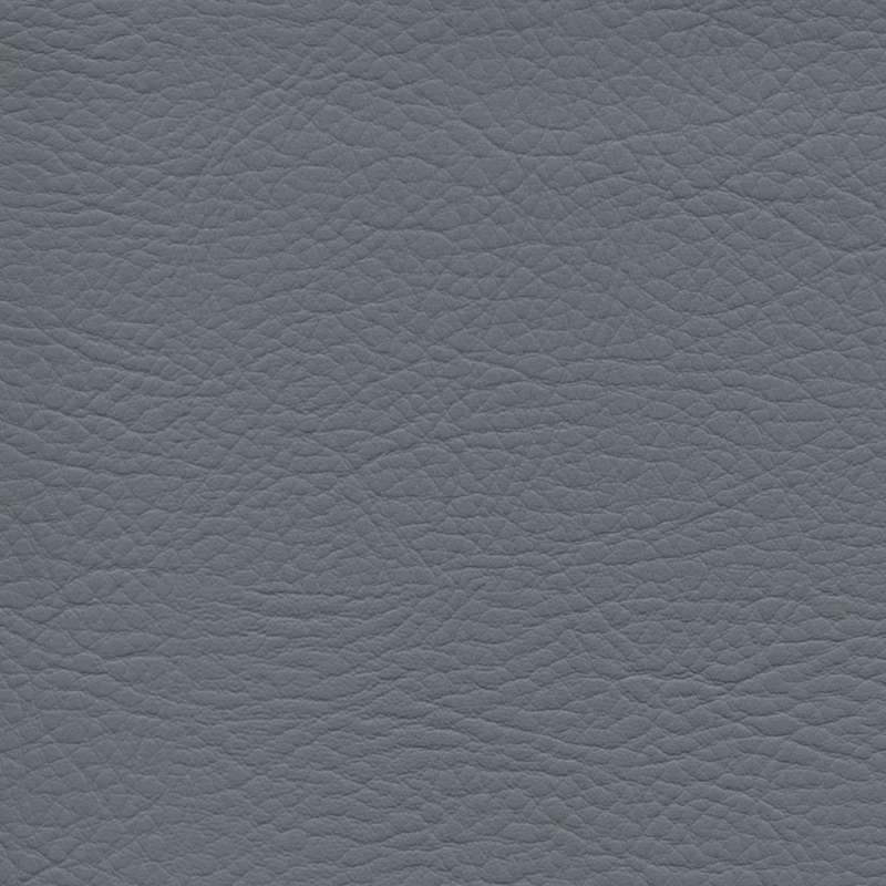 Whisper Wolf Grey