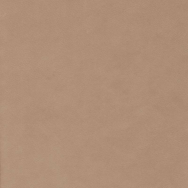 Wild Leather Sand