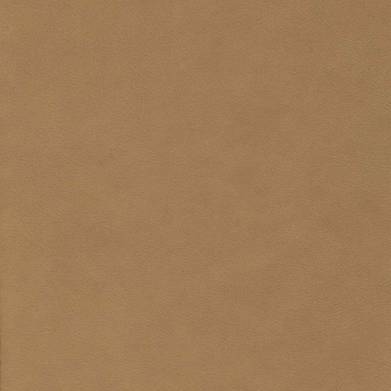 Wild Leather Corda