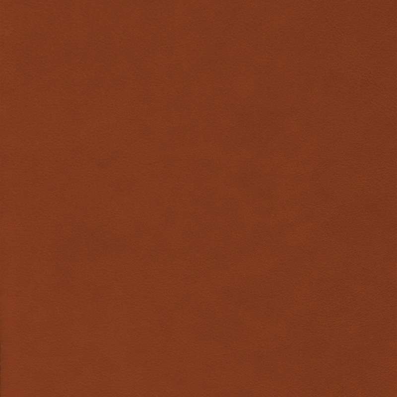 Wild Leather Cognac