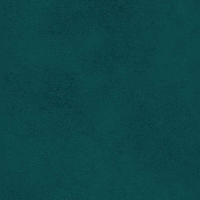 Windsor Leather Azzurro