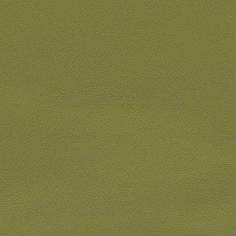 Agora Ii Leaf