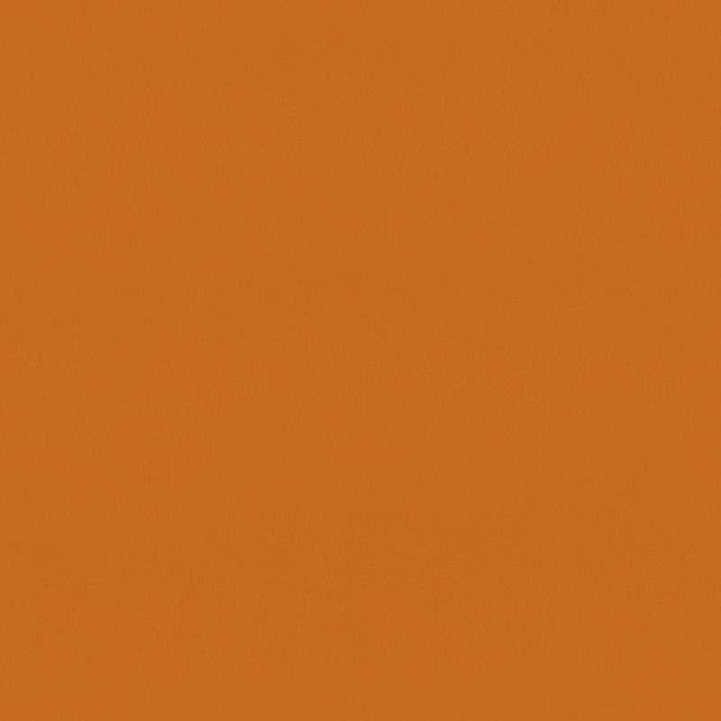Wrangler #5 Apricot