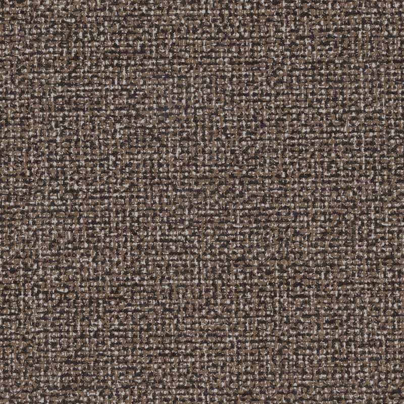 Terra #9 Bark