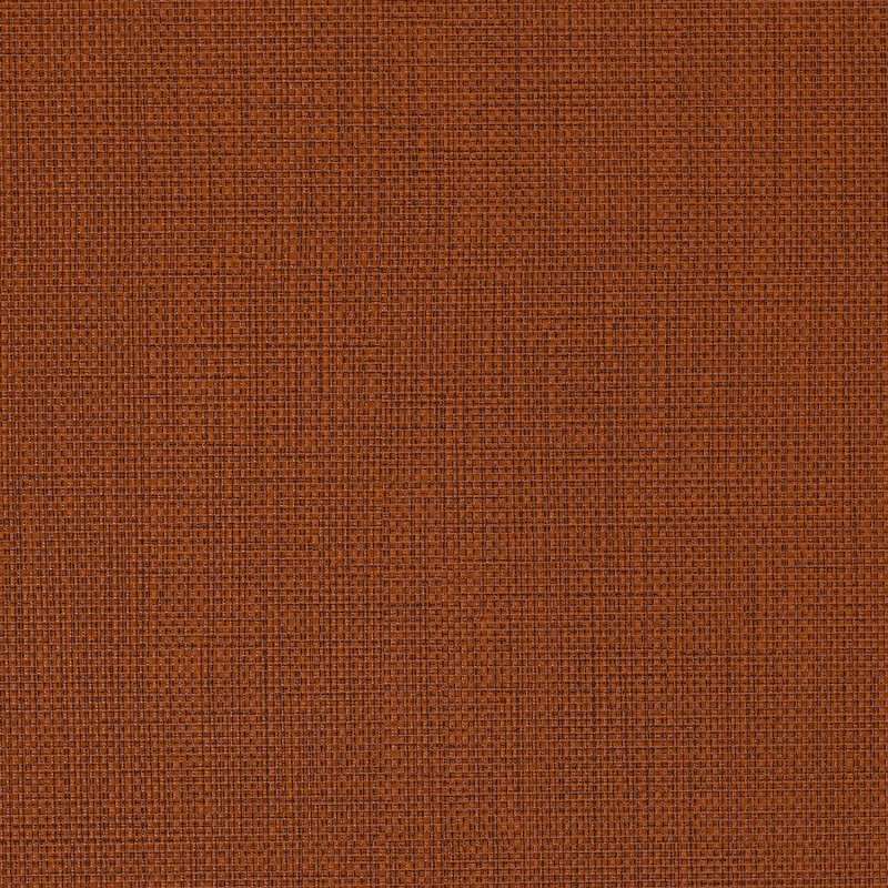 Beeline EPU Autumn 