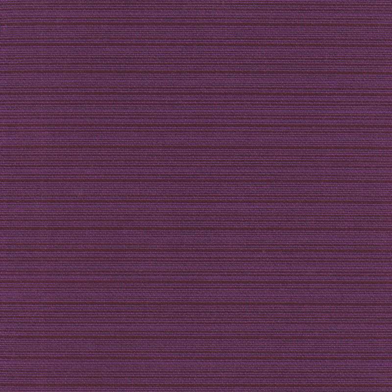 Breeze Viola