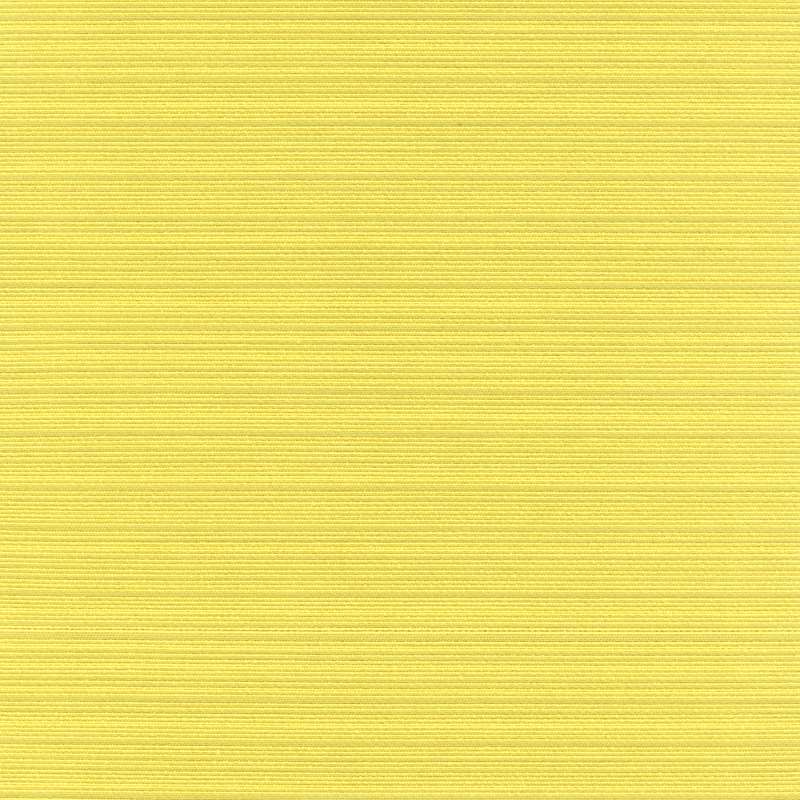 Breeze Fennel