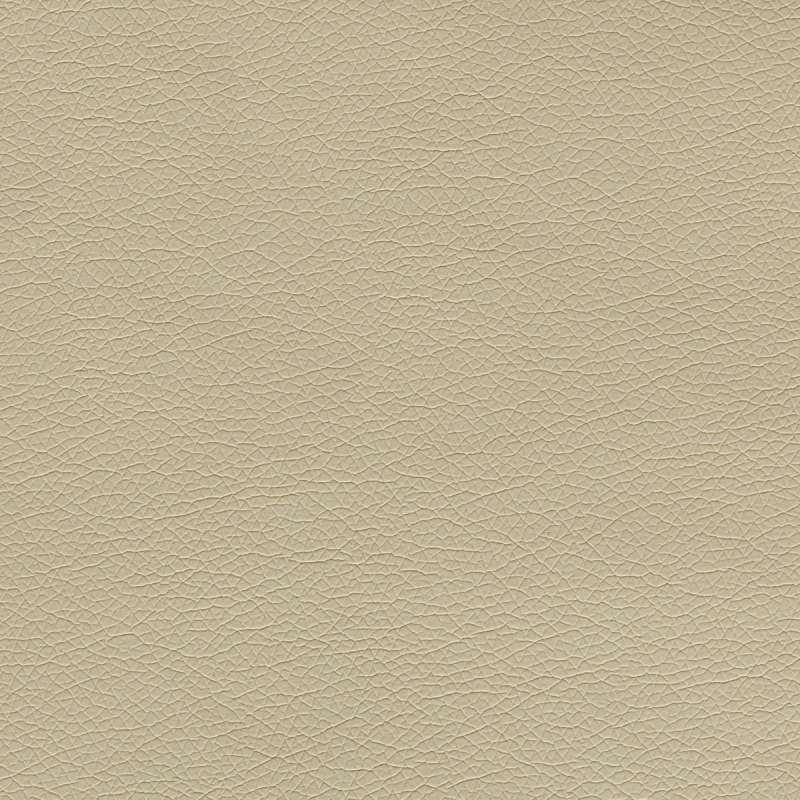 Canter EPU Sand Dollar