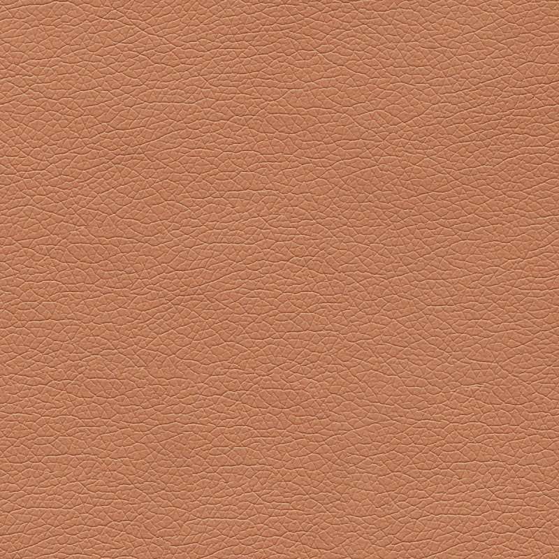 Canter EPU Wood Rose 
