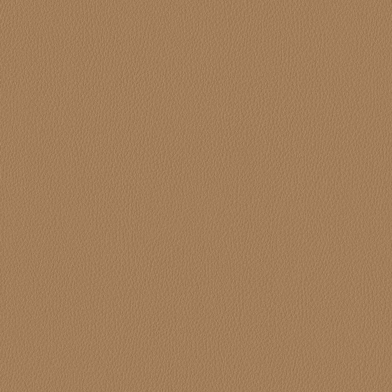 Carson Cv Cork