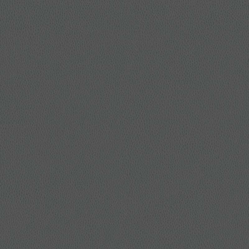 Carson Cv Graphite