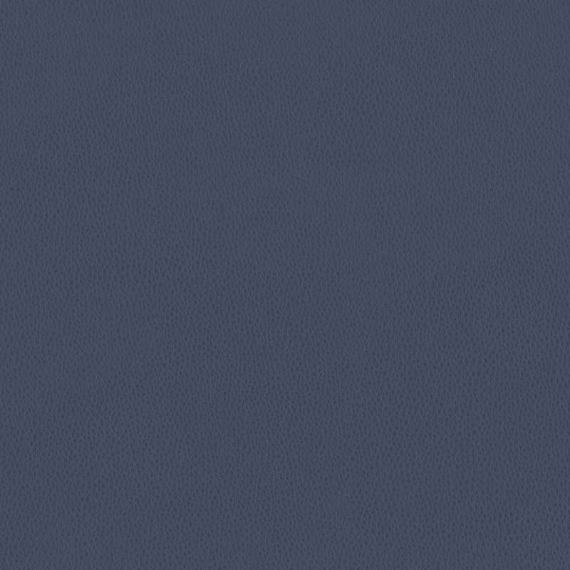Carson Cv Indigo