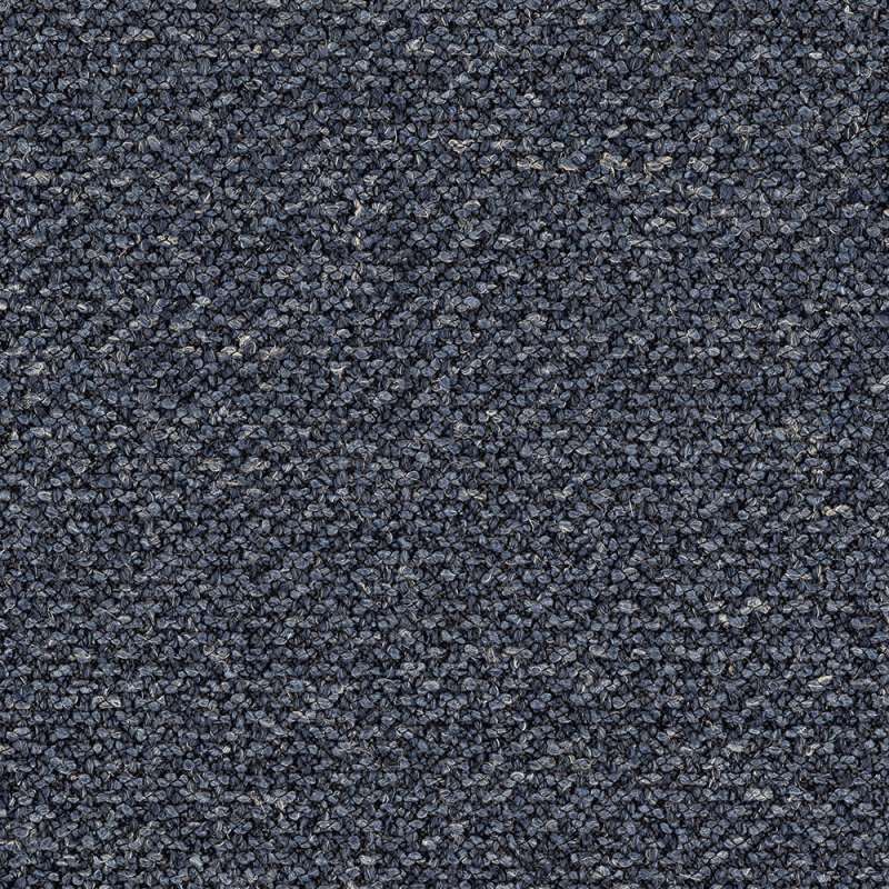 Coda Indigo