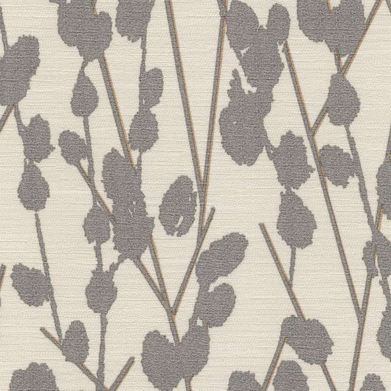 Cotton Cv Ecru