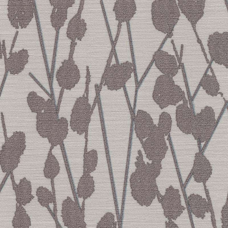 Cotton Cv Truffle