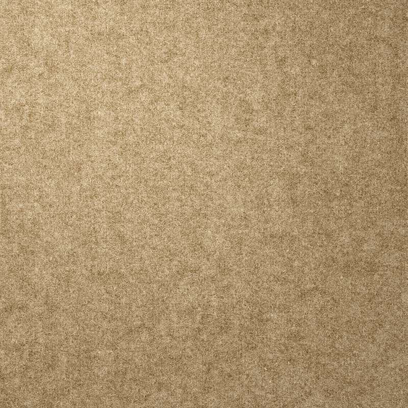 Cyber Tatami Tan