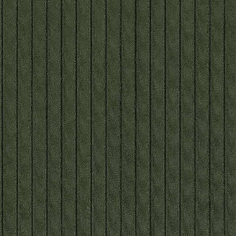 Ellis Evergreen