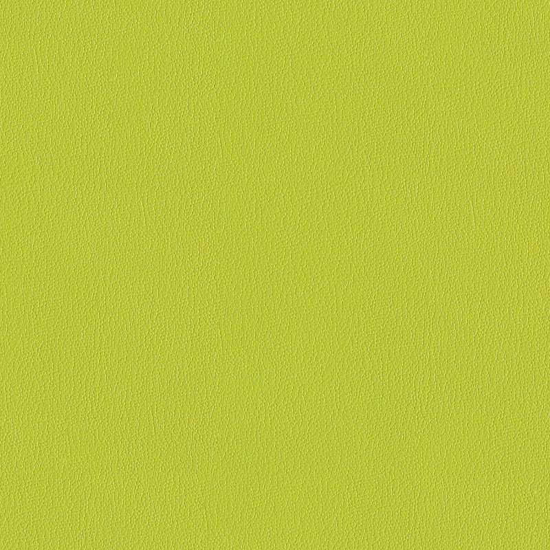 Everywhere Epu 495 Lime