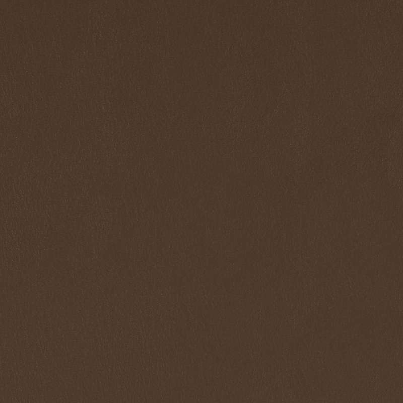 Evo Cv Carob