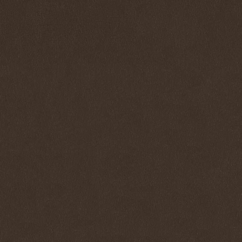 Evo Cv Ganache